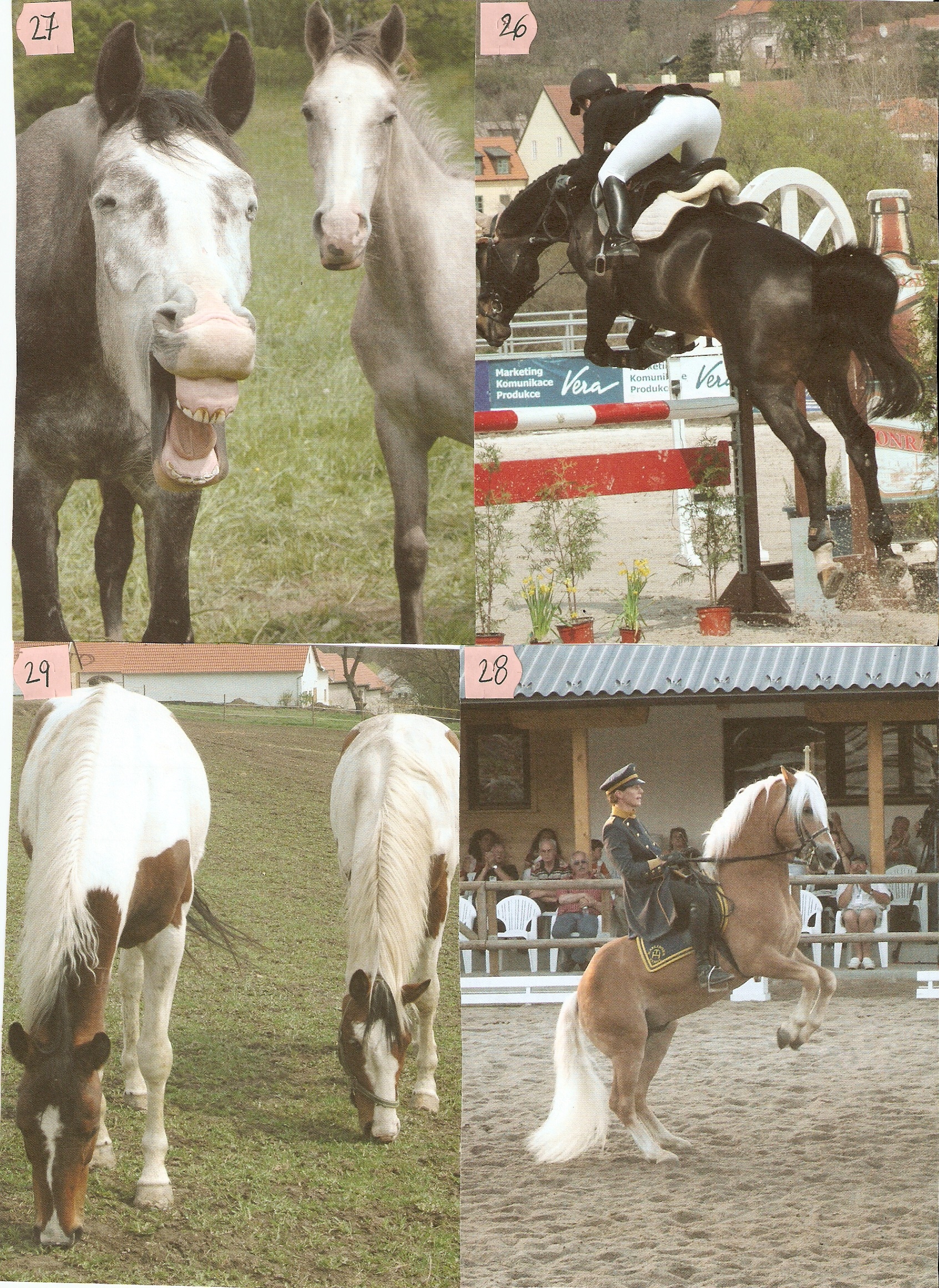 Obrázky 26,27,28 a 29.jpg