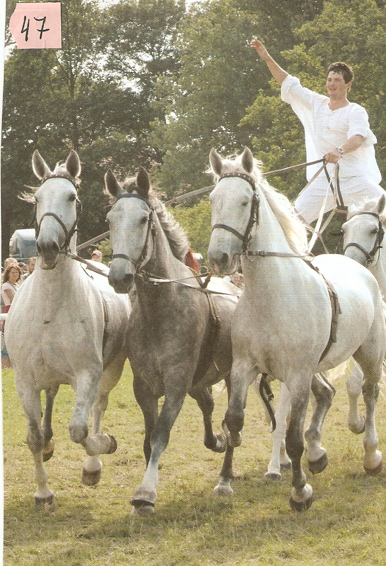 Obrázek 47.jpg